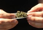Se convoca a debate por legalización marihuana